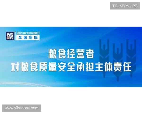 壹号娱乐网页版安全保障措施解析确保玩家个人信息与资金安全